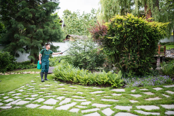 Best Flea Control Services  in Meadowbrook, CA