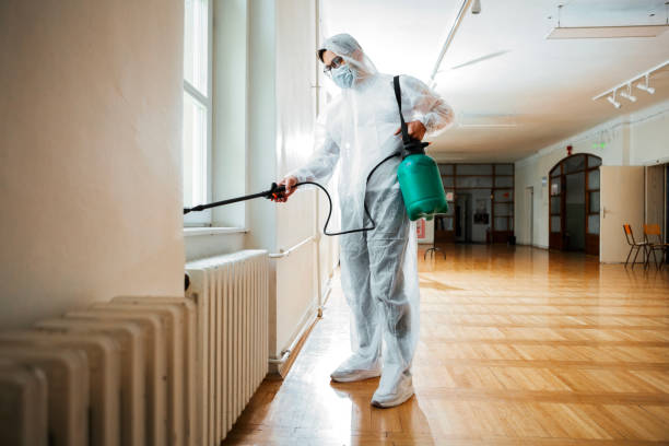 Best Affordable Pest Control Services  in Meadowbrook, CA