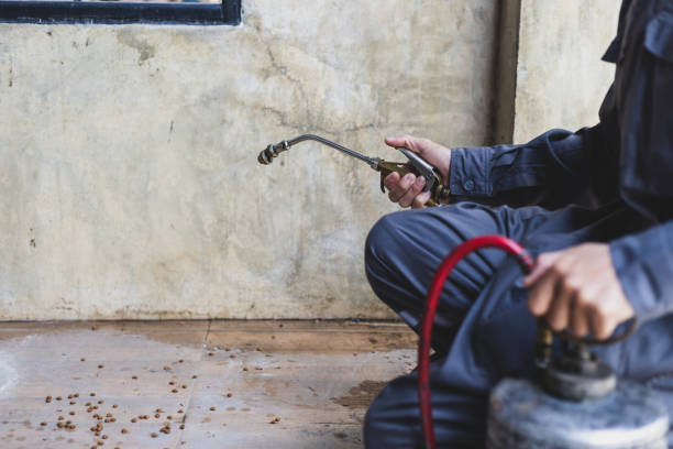 Best Pest Removal Services  in Meadowbrook, CA